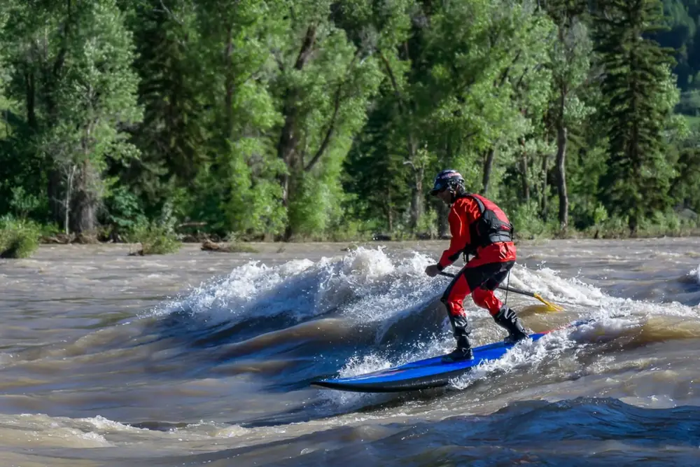 Stand Up Paddle Boarding